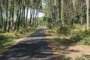 Messanges Piste Cyclable